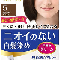 Salon de Pro Hair Colour Cream for Gray hair No.5 Natural Brown / サロンデプロ ニオイのない白髪染め 5番 ナチュラルブラウン 80g - Konbiniya Japan Centre