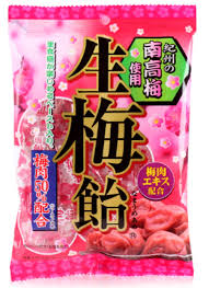 Nama Ume (Sour Plum) Candy / 生梅飴 110g - Konbiniya Japan Centre